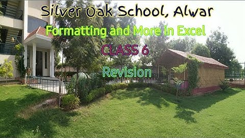 Computer Class 6 Ch 5 Formatting and More in Excel Revision