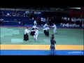 International Aikido Festival 2010