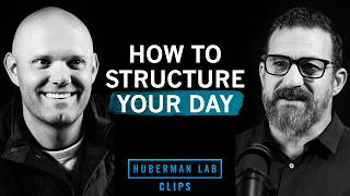 Habit Stacking Structure Your Day For Peak Focus James Clear Dr. Andrew Huberman