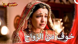 سأتزوج وسأبكي | يوم من أيام بارو  - حبيبي دائماً