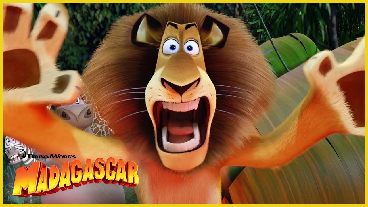 ¡Ahí vienen los fosa! 🦁 Madagascar | Dibujos Animados en Español