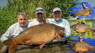 10 коропів заважили на 188 кг!!! Самий великий короп був 25 кілограмів!