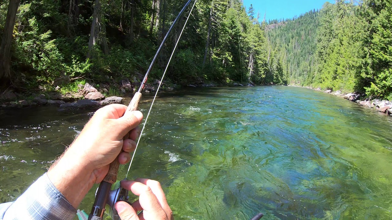St. Joe River Fly Fishing Fish of the Trip - YouTube