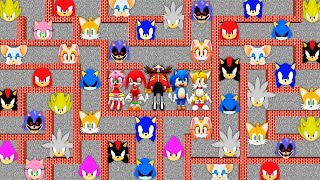 We are trapped in SECRET MAZE of SONIC in MINECRAFT animation! SILVER SHADOW AMY ROSE TAILS KNUCKLES