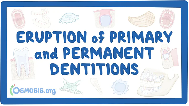 Eruption of primary and permanent dentitions - DayDayNews