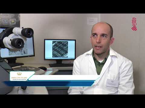 Servicio Oficial Hitachi Valencia 2