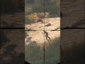 Backflip ( the last of us part 2 )
