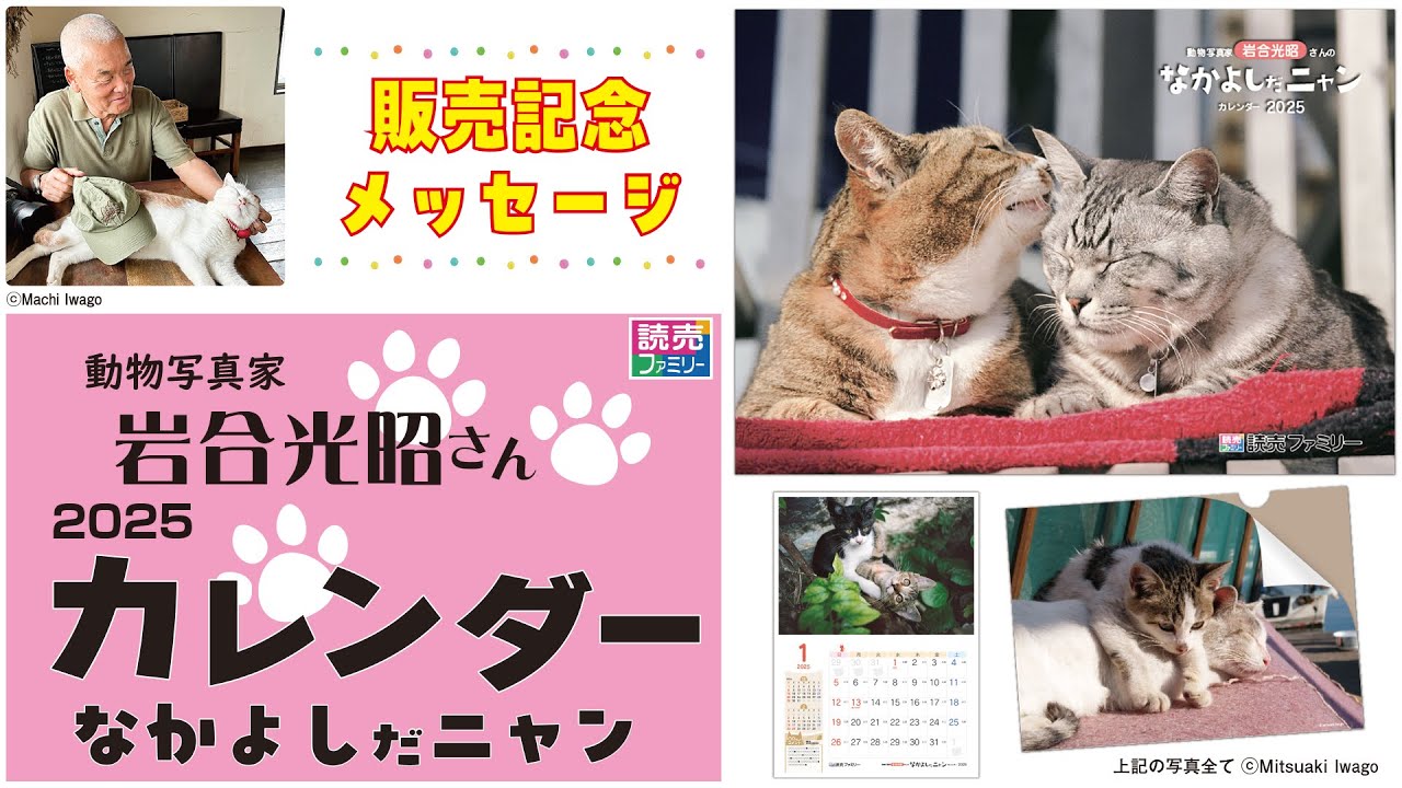 読売ファミリーオリジナルカレンダー2025 動物写真家・岩合光昭さんの
