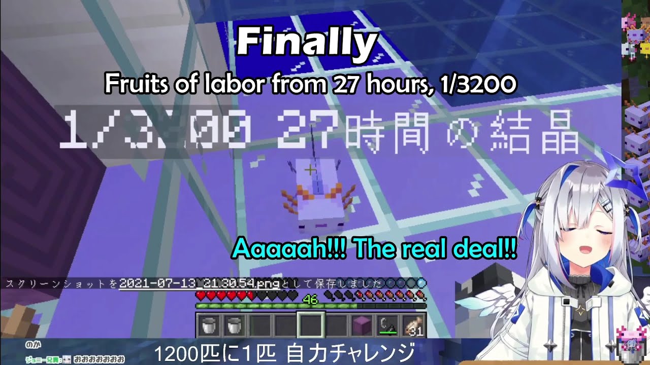 Kanata Briefly Turns Into Gorilla When She Got Her 1/3200 Blue Axolotl After 27 Hours【Hololive Eng】