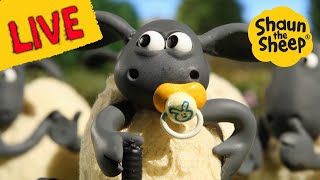 Shaun The Sheep TV! Full Episodes - All Weekend!