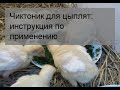 Чиктоник для цыплят: инструкция по применению