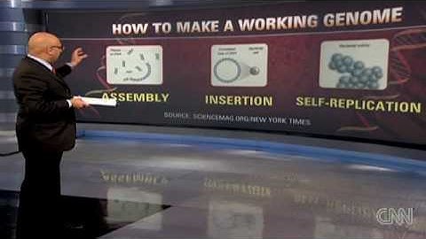 Artificial life Scientist: We didn