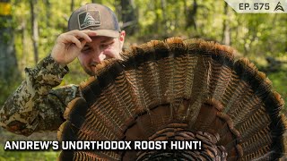 Not Quite a Textbook Roost Hunt! Andrew's Longbeard! - EP. 575