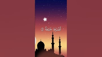 سورة النازعات بصوت القارئ الحسين عبدرب الرسول #القرآن_الكريم #اكسبلور #المصحف #القرآن_نور_القلوب