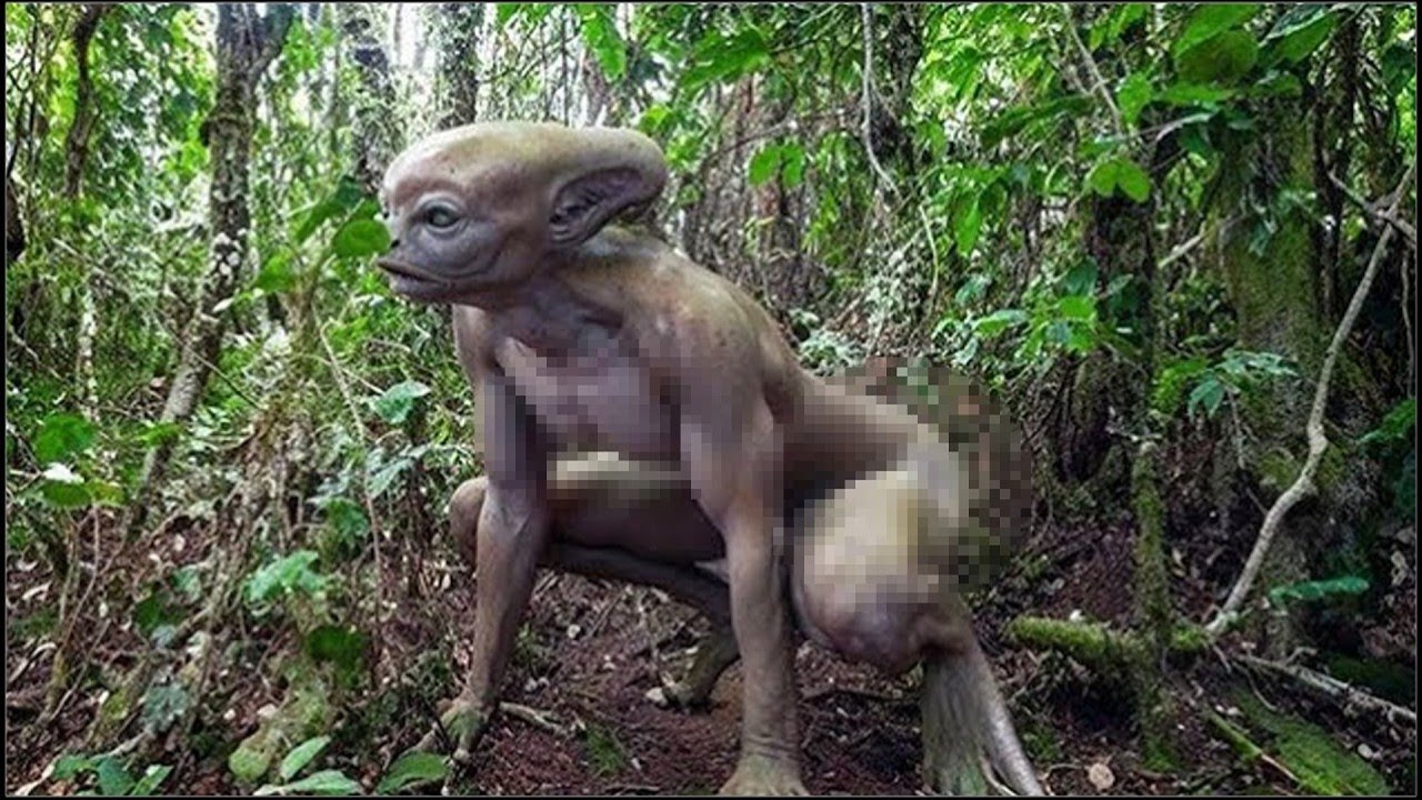 Если Бы Это Видео Не Сняли На Камеру, Никто Бы Точно Не Поверил