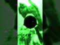 Phonk Use Headset рџЋ Bass Bassbosted рџЋ Funk Music Phonk Song Slowed Aveeplayer Foryou Phonk Use Headset рџЋ Bass Bassbosted рџЋ Funk Music Phonk Song Slowed Aveeplayer Foryou
