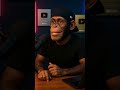 You Dont Want To Miss These Crazy Facts - Reggie Chimp