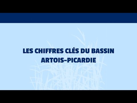 Restauration des cours d'eau : les chiffres-clés du bassin Artois-Picardie