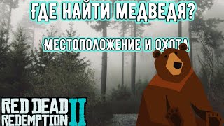 Места обитания, самооброна, охота на медведя|Мини гайд для новичков RDR 2|