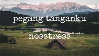 pegang tanganku – nosstress (lirik)