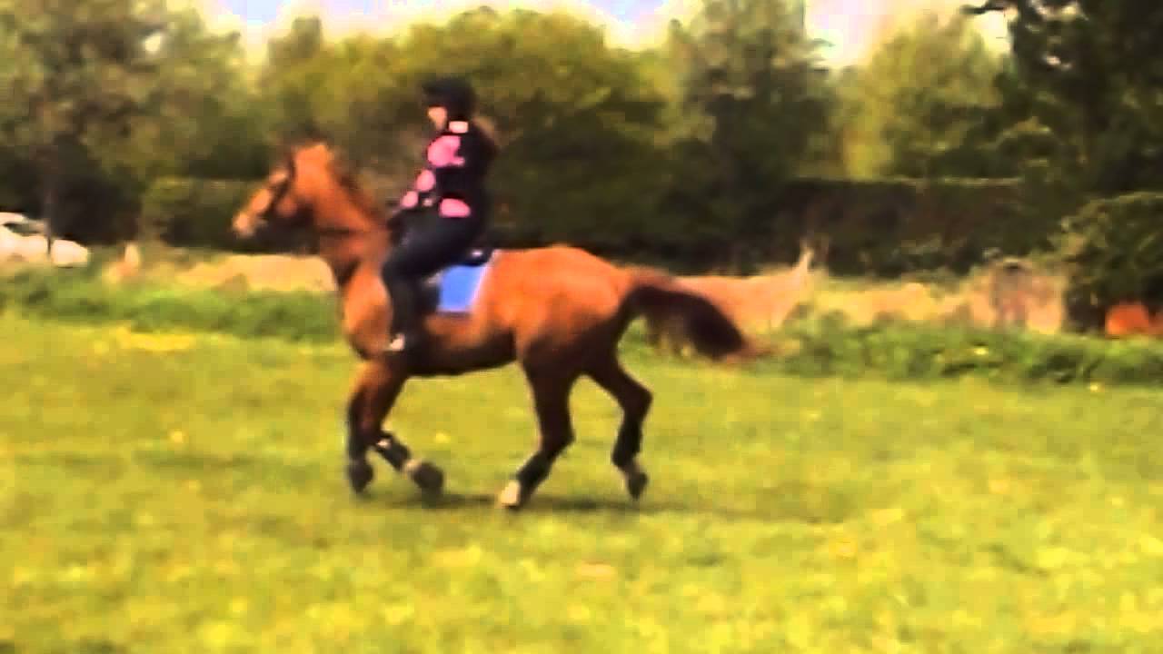Kelsall Hill farm ride 19th May 2013 - YouTube