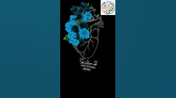 القرآن الكريم | سورة يوسف | القارئ إسلام صبحي | تلآوة خاشعة جميلة جدآ😌❤ | حالات واتس اب