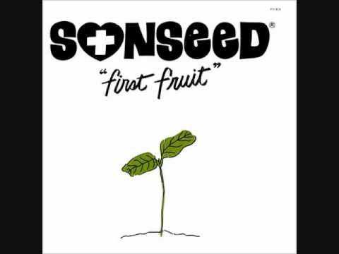 Sonseed — Sonseed - Another Kind of Love Song
