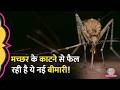 Kerala में West Nile Fever के सस्पेक्टेड मामले, इसे फैलाने वाले जानलेवा Virus के बारे में जान लीजिए