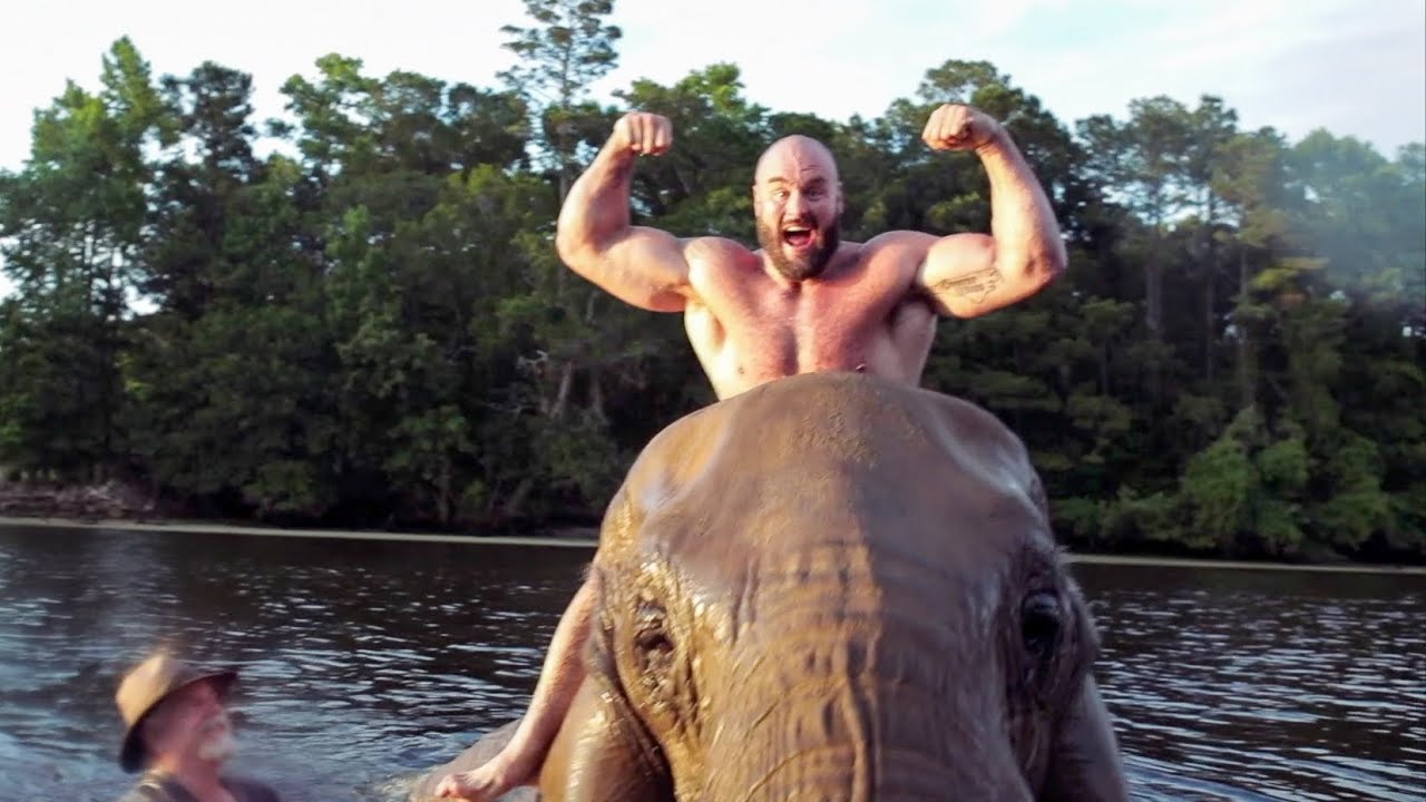 Braun Strowman Swims With Bubbles the ELEPHANT!