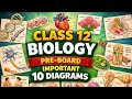 Class 12th BIOLOGY ||Most IMPORTANT DIAGRAM || Score 70/70 ||#preboard #boardexam2025 #12th #biology