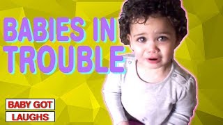 Babies in Trouble! | Troublemaker Baby and Toddlers Compilation