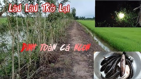 Cắm câu cá lóc | kênh cùng ngày trở lại | Long An quê tôi