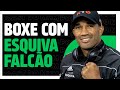 O guia completo do boxe com esquiva falco  podcast do mhm