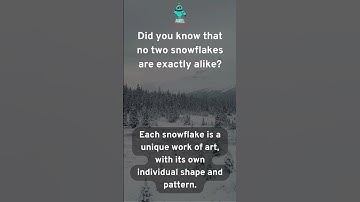 The Magic of Snowflakes - Unveiling Nature