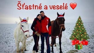 Bílé Vánoce u koní a cesta ke stromečku za dárky 🐎🎄🎁