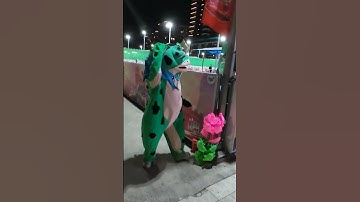 🐸🐸🐸 Ếch xanh vui vẻ #monkey #comtv #funny #troll #viralvideo #trending #kids #playground #shorts