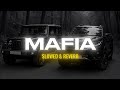 Mafia Slowed Reverb Bhartiya Radio Lofi Trending Song Hit Song Gangster Theme Mafia Slowed Reverb Bhartiya Radio Lofi Trending Song Hit Song Gangster Theme