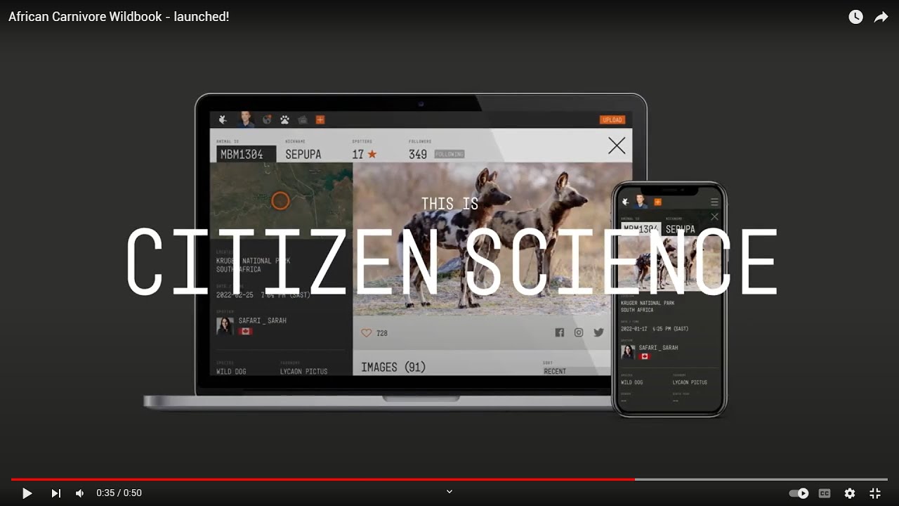 Citizen science is love - introducing the African Carnivore Wildbook