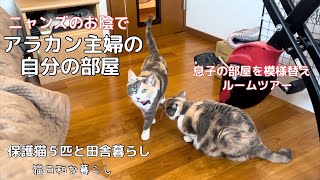 【ルームツアー】ニャンズのお陰で自分の部屋ができました/空ちゃんの病院通い