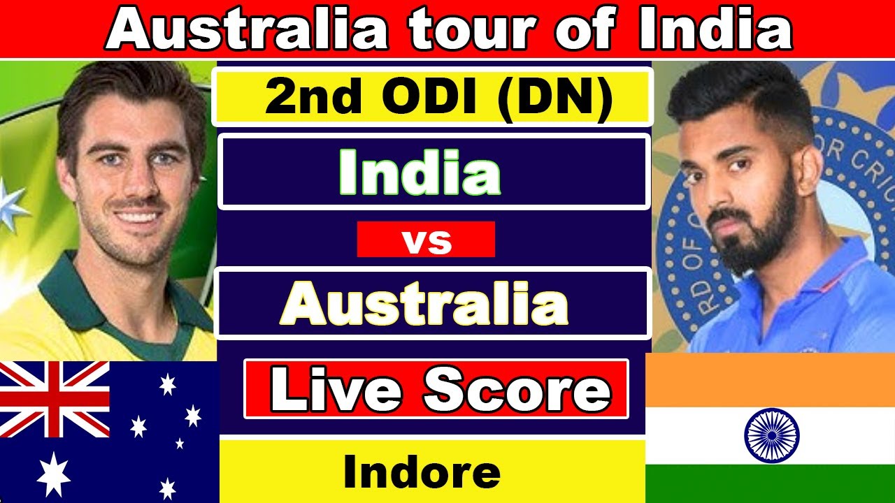 t 20 live score