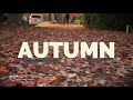 AUTUMN IN VANCOUVER |TerenceS