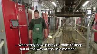 Lely Astronaut A3 - Large dairy in Germany (English / Germany)