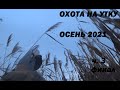 ОХОТА НА УТКУ ОСЕНЬ 2021 ФИНАЛ