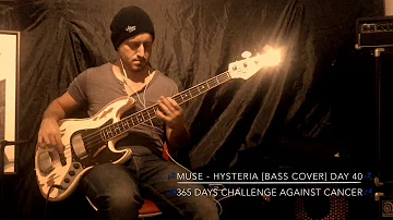 Muse - Hysteria [Bass Cover] Day 40