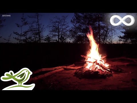 Vídeo: Com Relaxar-se Al Campament