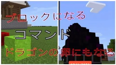 ドラゴンコマンド