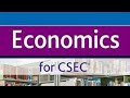 ECONOMICS: The Roles Of the Central Bank Monetary Policies