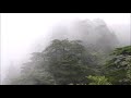 RELAJANTE SONIDO DE LLUVIA EN LA MONTAÑA / RELAXING RAIN SOUND ON THE MOUNTAIN