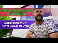 KUPAYA KUŞ UÇURDU, TERSLİKLER PEŞİNİ BIRAKMADI | NECO ŞENLİK KUPA UÇUM VİDEOSU | ADİL KAYABAŞI