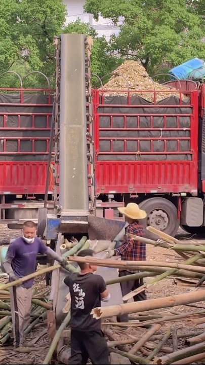 Pulverized bamboo